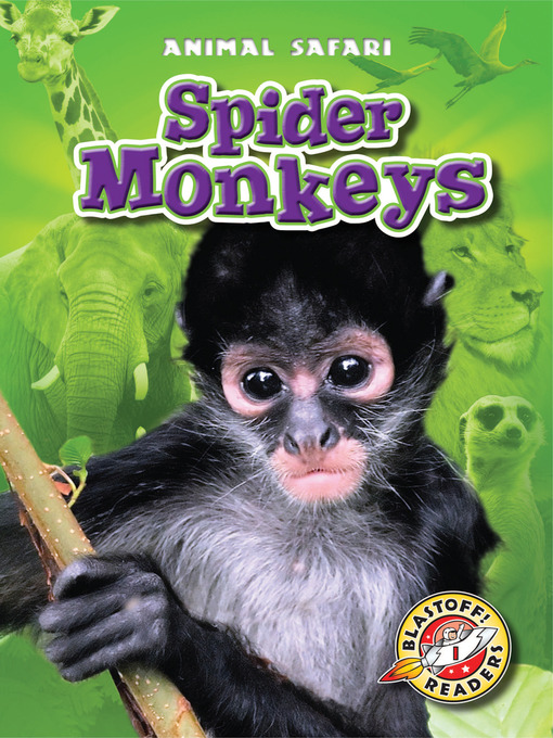 Title details for Spider Monkeys by Megan Borgert-Spaniol - Available
